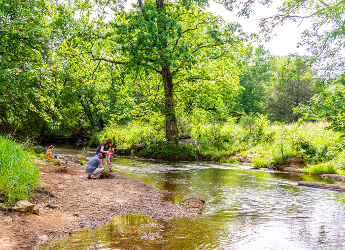 Arbor and Beautification Board